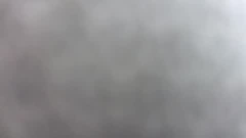 1256tls online show from October 13, 1:13 pm