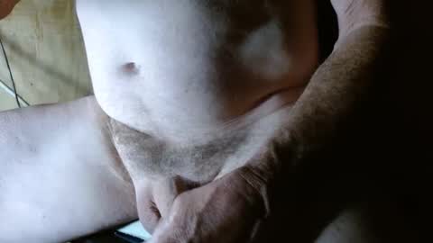 Absentee online show from November 26, 10:56 am