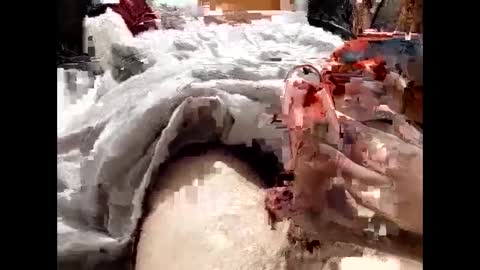 19spieler99 online show from February 8, 8:21 pm