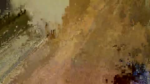 Queen  King online show from January 2, 9:54 am