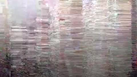 Kyle Brandon online show from December 13, 9:57 am