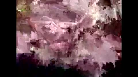 Kyle Brandon online show from January 30, 4:55 pm