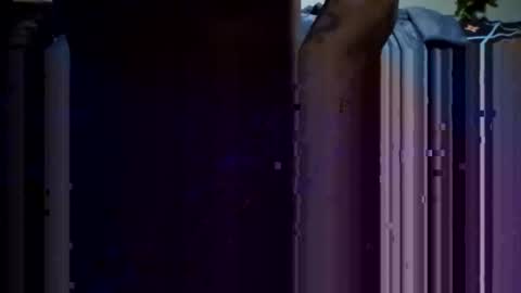 5an3 online show from April 28, 2:09 am