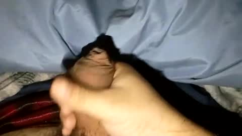 69angel96 online show from July 23, 2:31 am