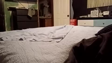 7lairddip online show from March 20, 5:56 am