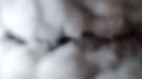 88piterr88 online show from February 17, 8:52 am