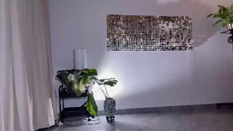 lily online show from August 3, 4:47 am