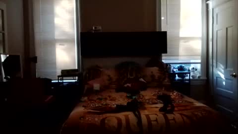 KittyPoo107 online show from June 3, 11:57 am