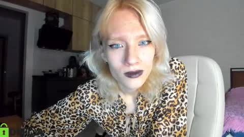 Gaylord online show from November 24, 9:41 am