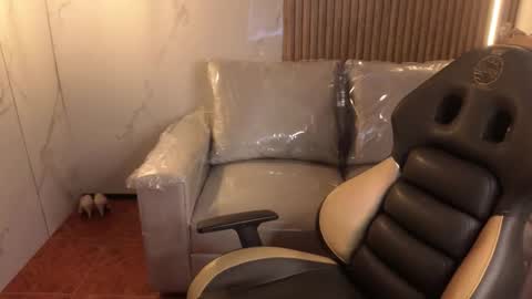 _kitten_1 online show from January 17, 3:27 am