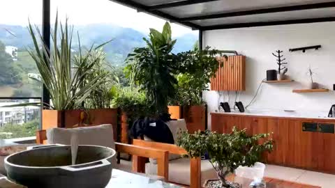 _lustyles_ online show from March 5, 6:50 pm