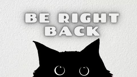 Stefany online show from February 11, 4:11 pm