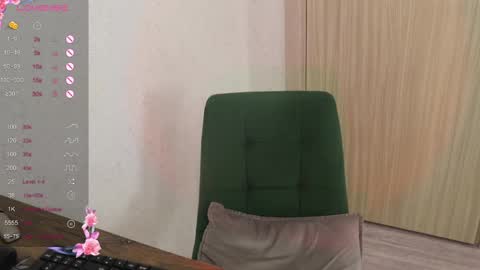 Snapshot of _viv1an_ chatting on February 10, 11:25 am Alis online show from February 10, 11:25 am