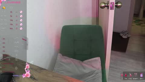 Snapshot of _viv1an_ chatting on February 3, 12:47 pm Alis online show from February 3, 12:47 pm