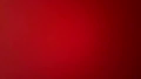 A Long Shlong online show from April 26, 3:37 am