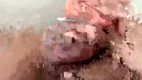 aaa121aa online show from September 27, 11:52 am