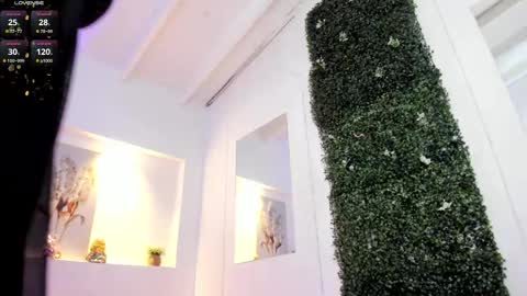 Abby  online show from February 11, 6:51 am