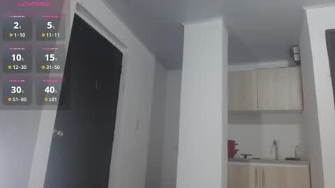 adam shilder7 online show from January 11, 3:34 am