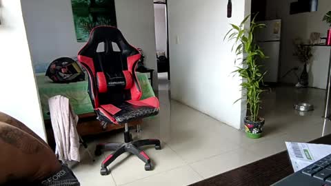 Adam Valencia online show from April 12, 4:22 pm