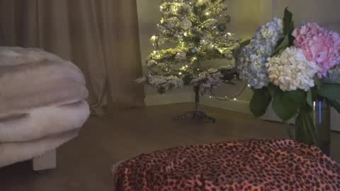 May online show from December 14, 8:04 pm