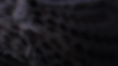 AIXA  online show from March 3, 12:01 pm