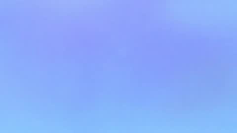 Alaia online show from November 1, 9:58 pm