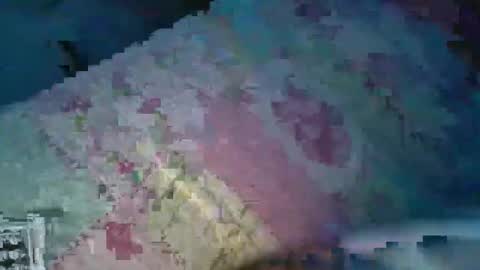 alejo_gray1 online show from October 19, 11:09 pm