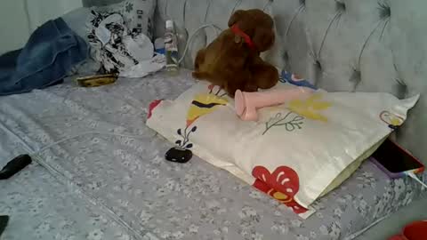 Snapshot of alexa_foxxie chatting on February 16, 3:05 pm Alexa online show from February 16, 3:05 pm