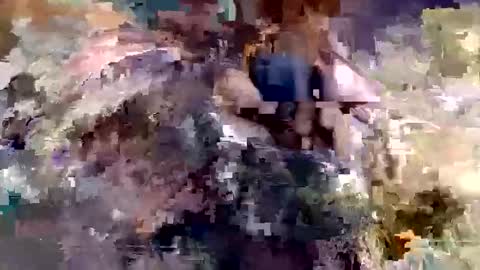 alexey932 online show from November 10, 10:07 am