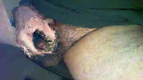 Alex online show from November 4, 10:44 pm