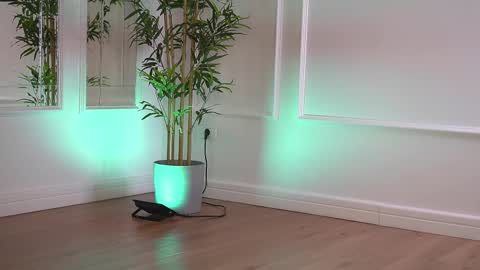 alexxiskye online show from January 6, 6:28 am