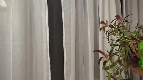 ali500886 online show from March 30, 5:51 am