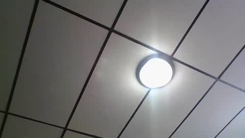 ali_tayler online show from October 10, 7:08 pm