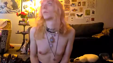 Alice Hatchette online show from September 25, 7:43 pm