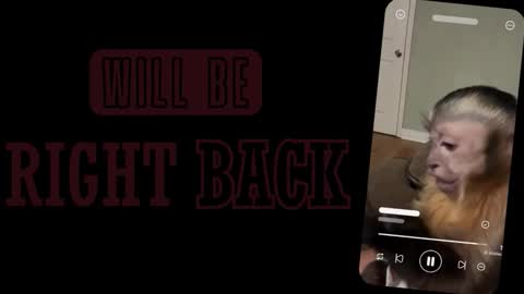 Sofia online show from February 28, 1:04 pm