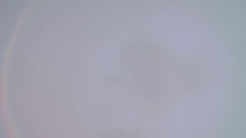     online show from February 14, 1:34 am