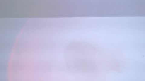     online show from December 23, 1:01 am