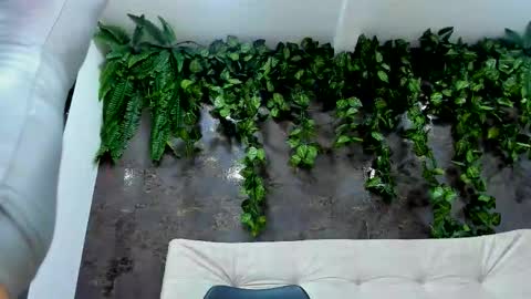 Alice online show from December 1, 7:56 pm