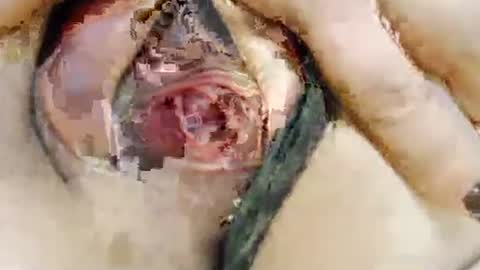 alisesexydoll777 online show from January 15, 7:11 pm