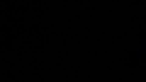 alisson online show from October 16, 5:40 am