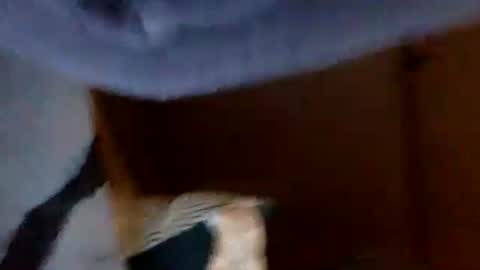 allitrunnin online show from December 15, 7:04 am