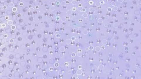 Ana Sofia online show from March 7, 8:23 am