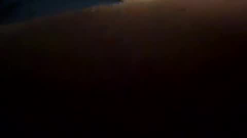 anal19871 online show from November 3, 8:15 am