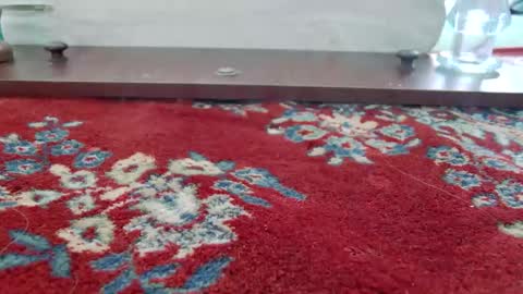 Mandy online show from March 1, 8:46 pm