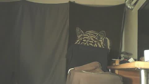 andi101 online show from July 21, 2:24 am