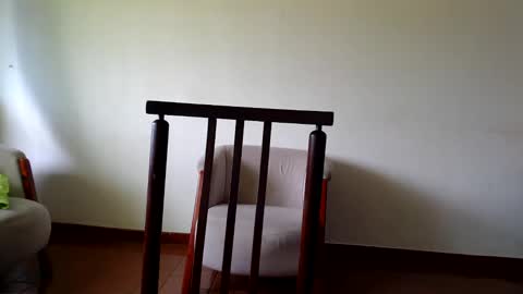 Andrea online show from October 31, 11:54 am