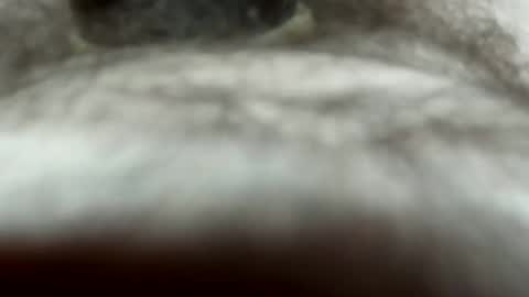 Snapshot of andresexyaf7258 chatting on September 24, 6:25 pm andresexyaf7258 online show from September 24, 6:25 pm