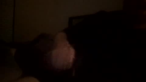 andresgarcia2424 online show from December 25, 4:01 am