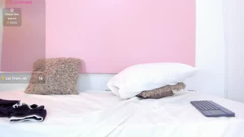 Andy  online show from October 29, 3:25 pm