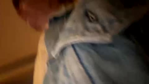 aneoakley online show from October 30, 6:03 am